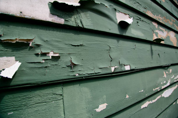 Best Siding Painting and Refinishing  in Bartonvle, IL